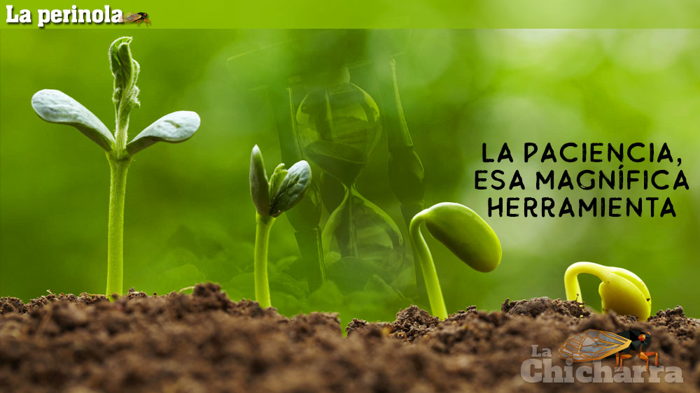 La Perinola: La paciencia, esa magnífica herramienta