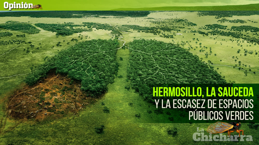 Hermosillo, La Sauceda y la escasez de espacios públicos verdes