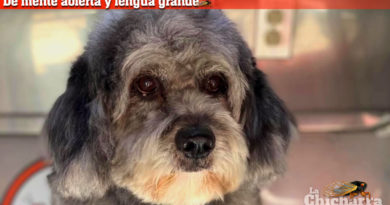 De mente abierta y lengua grande: La última comida