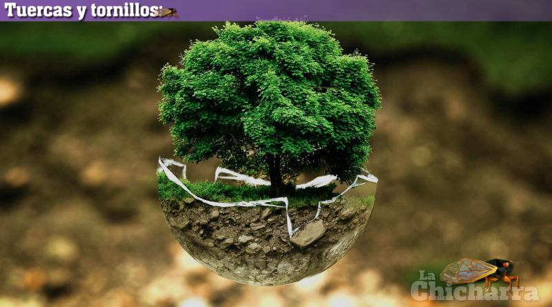 Tuercas y tornillos: ¡Es la política, estúpido!