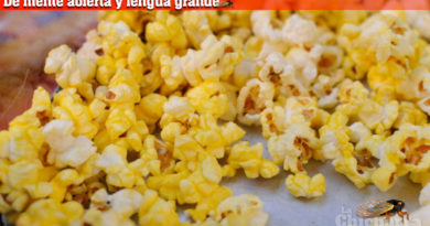 De mente abierta y lengua grande: El gran descubrimiento