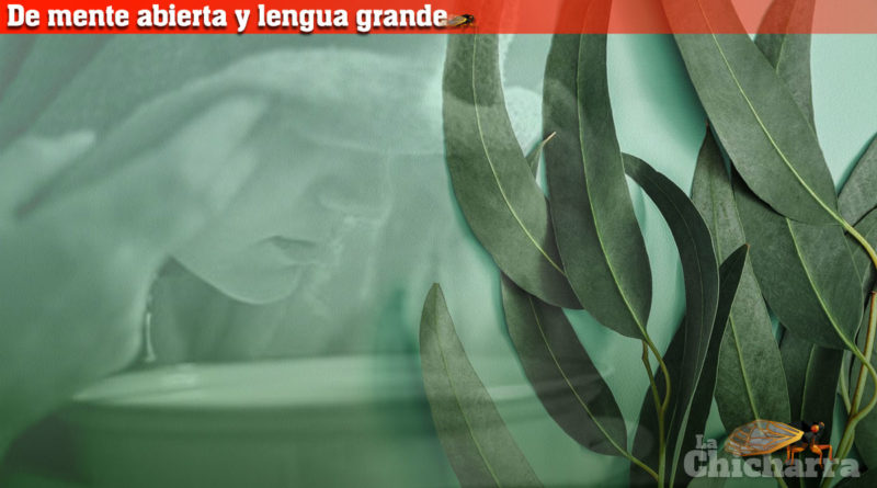 De mente abierta y lengua grande: Pencas al cuello