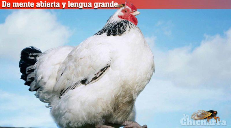 De mente abierta y lengua grande: La infundia de la Malena