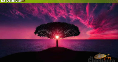 La perinola: La necesidad de estudiarnos a nosotros mismos