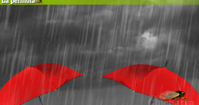 La perinola: No llueve, me están meando