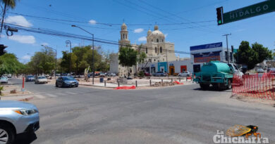 Litigio estratégico en defensa del patrimonio cultural y las áreas verdes de Hermosillo: la obra en los camellones del bulevar Hidalgo