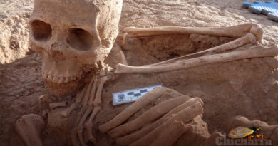 Los hallazgos del Salvamento Arqueológico realizado en el poblado de Puerto Libertad