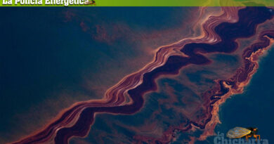 La Policía Energética: El Mar y la Energía